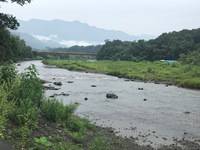 秩父フライフィールド 釣果