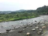 秩父フライフィールド 釣果
