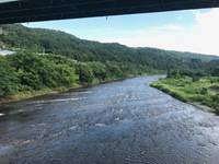 秩父フライフィールド 釣果