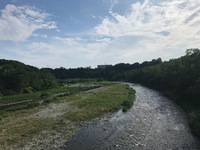 秩父フライフィールド 釣果