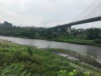 秩父フライフィールド 釣果