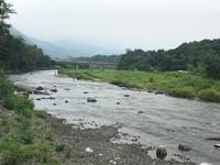 秩父フライフィールド 釣果