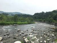 秩父フライフィールド 釣果