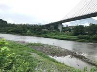 秩父フライフィールド 釣果