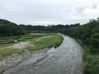 秩父フライフィールド 釣果