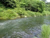 秩父フライフィールド 釣果