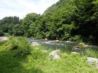 秩父フライフィールド 釣果