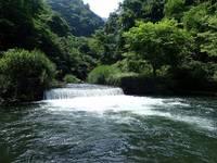 秩父フライフィールド 釣果