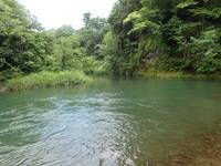 秩父フライフィールド 釣果