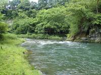 秩父フライフィールド 釣果