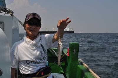 根岸丸 釣果