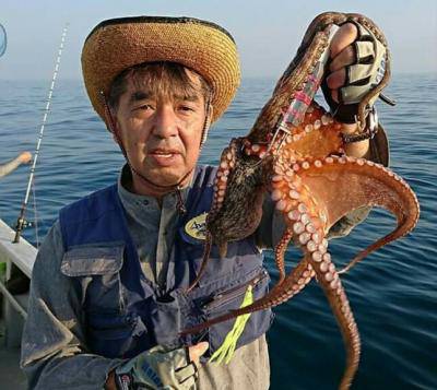 かねい丸 釣果