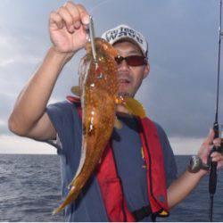 渡船屋たにぐち 釣果