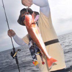 渡船屋たにぐち 釣果