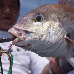 渡船屋たにぐち 釣果