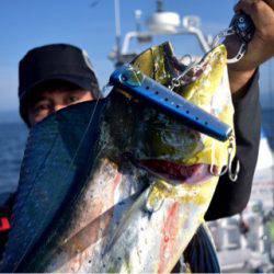 渡船屋たにぐち 釣果
