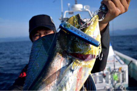渡船屋たにぐち 釣果