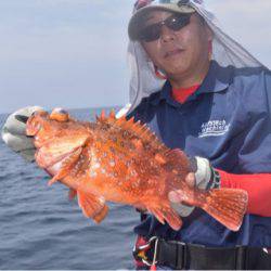 渡船屋たにぐち 釣果