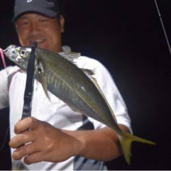 渡船屋たにぐち 釣果