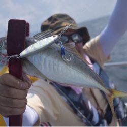 渡船屋たにぐち 釣果