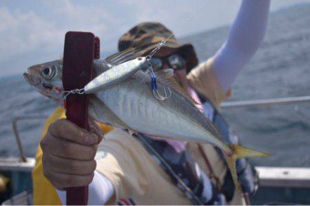 渡船屋たにぐち 釣果