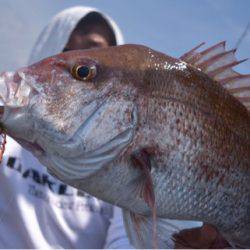 渡船屋たにぐち 釣果
