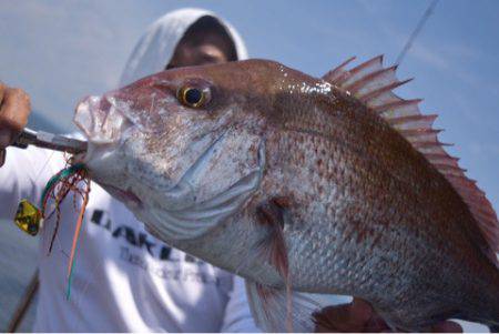 渡船屋たにぐち 釣果