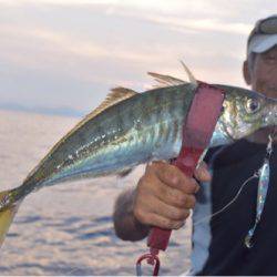 渡船屋たにぐち 釣果