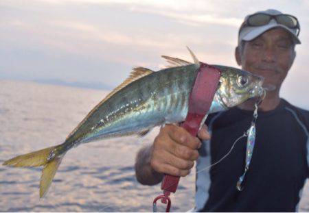 渡船屋たにぐち 釣果