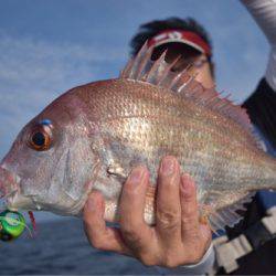 渡船屋たにぐち 釣果