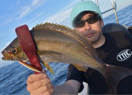 渡船屋たにぐち 釣果