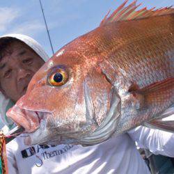 渡船屋たにぐち 釣果