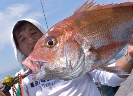渡船屋たにぐち 釣果