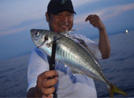 渡船屋たにぐち 釣果
