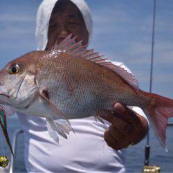 渡船屋たにぐち 釣果