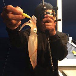 ＴＡＲＯＭＡＲＵ 釣果