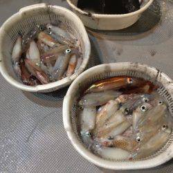 ＴＡＲＯＭＡＲＵ 釣果