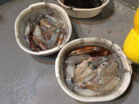 ＴＡＲＯＭＡＲＵ 釣果