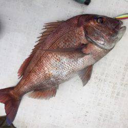 「LaGooN」蒼陽丸 日和号　 釣果