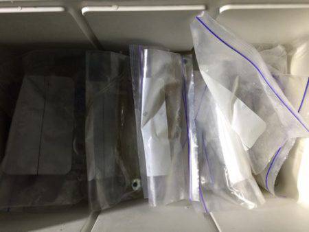 第二龍勢丸 釣果