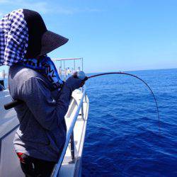 まるいち丸 ZERO-1 釣果