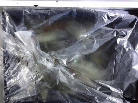 第二龍勢丸 釣果