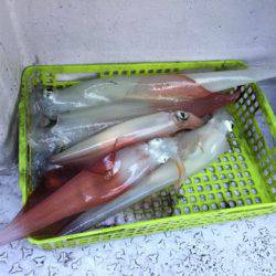 第二龍勢丸 釣果