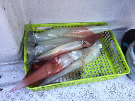 第二龍勢丸 釣果