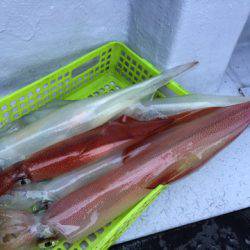 第二龍勢丸 釣果