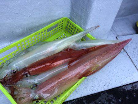 第二龍勢丸 釣果