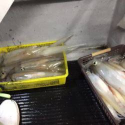 第二龍勢丸 釣果