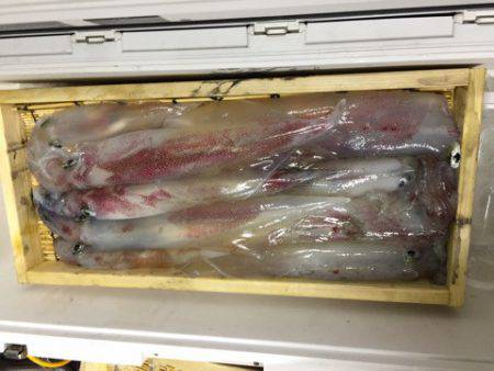 第二龍勢丸 釣果