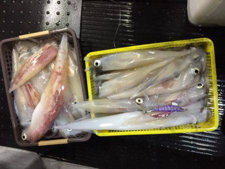 第二龍勢丸 釣果