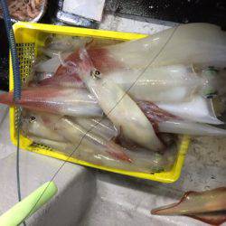 第二龍勢丸 釣果